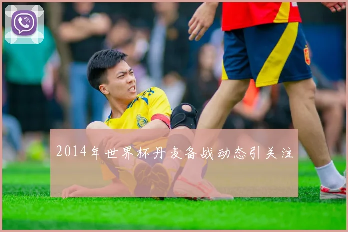 2014年世界杯丹麦备战动态引关注